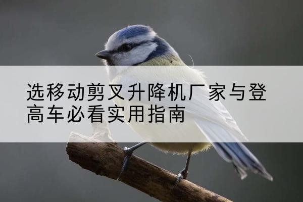 陇西电动升降机厂家-选移动剪叉升降机厂家与登高车必看实用指南