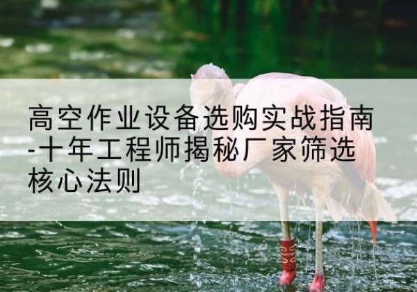 陇西剪叉式升降机厂家-高空作业设备选购实战指南-十年工程师揭秘厂家筛选核心法则